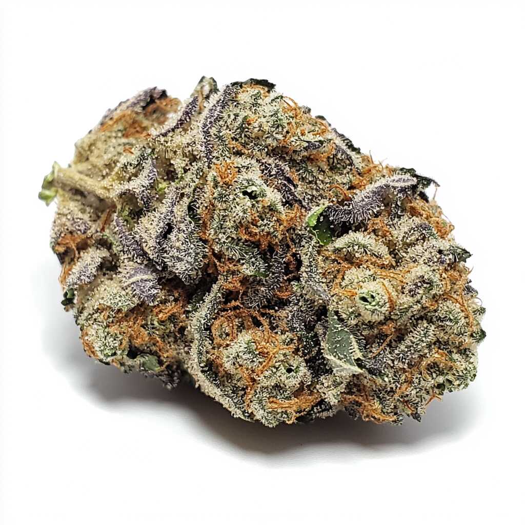 Symbolbild: Barongo 30/1 MC