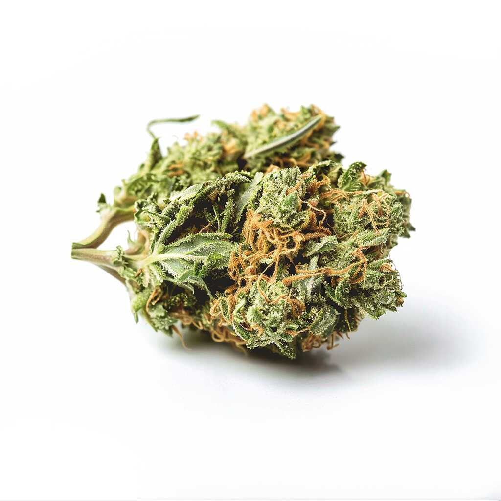 Symbolbild: Pedanios 31/1 CMK-CA