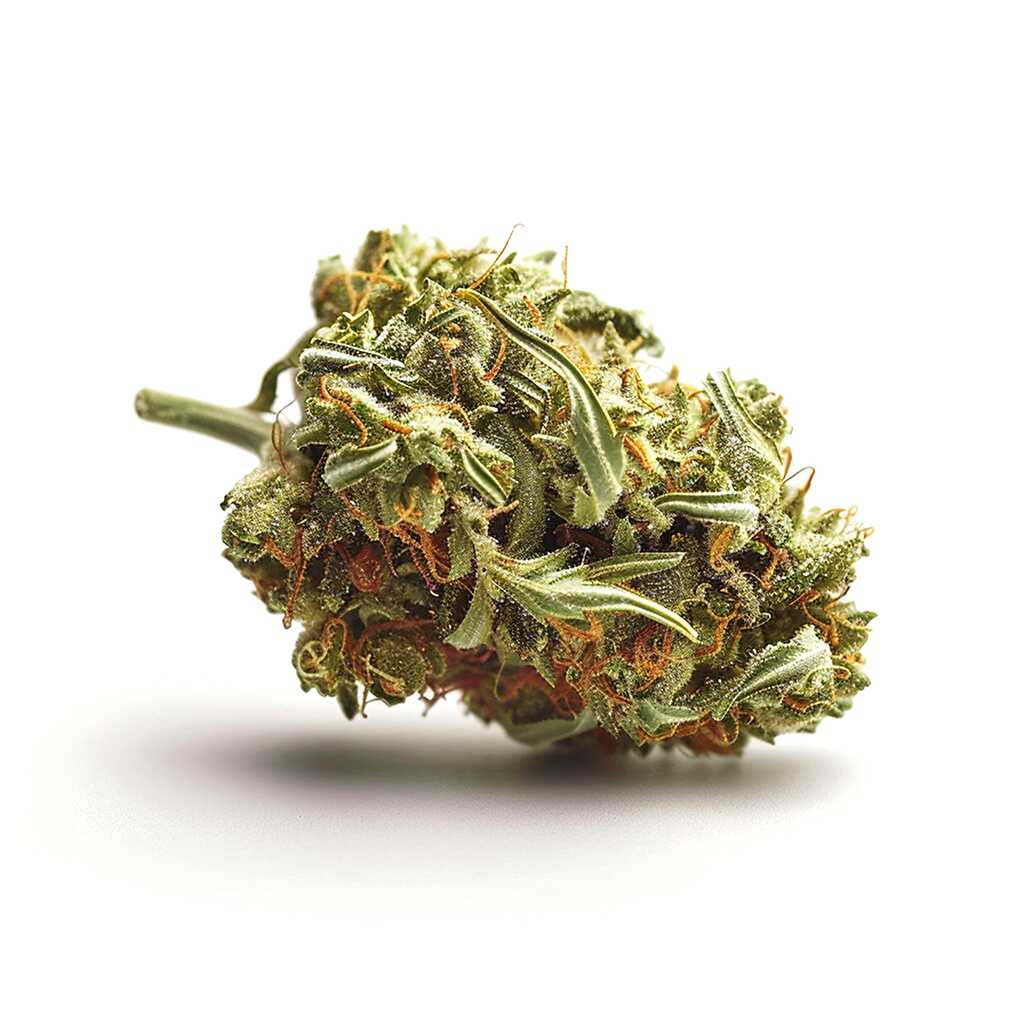 Symbolbild: Soma OG 24/1 CC