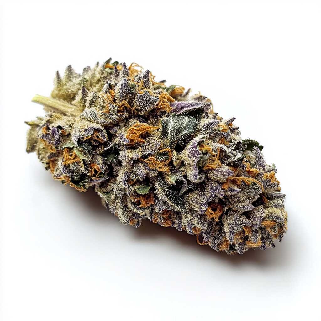 Symbolbild: Pedanios 22/1