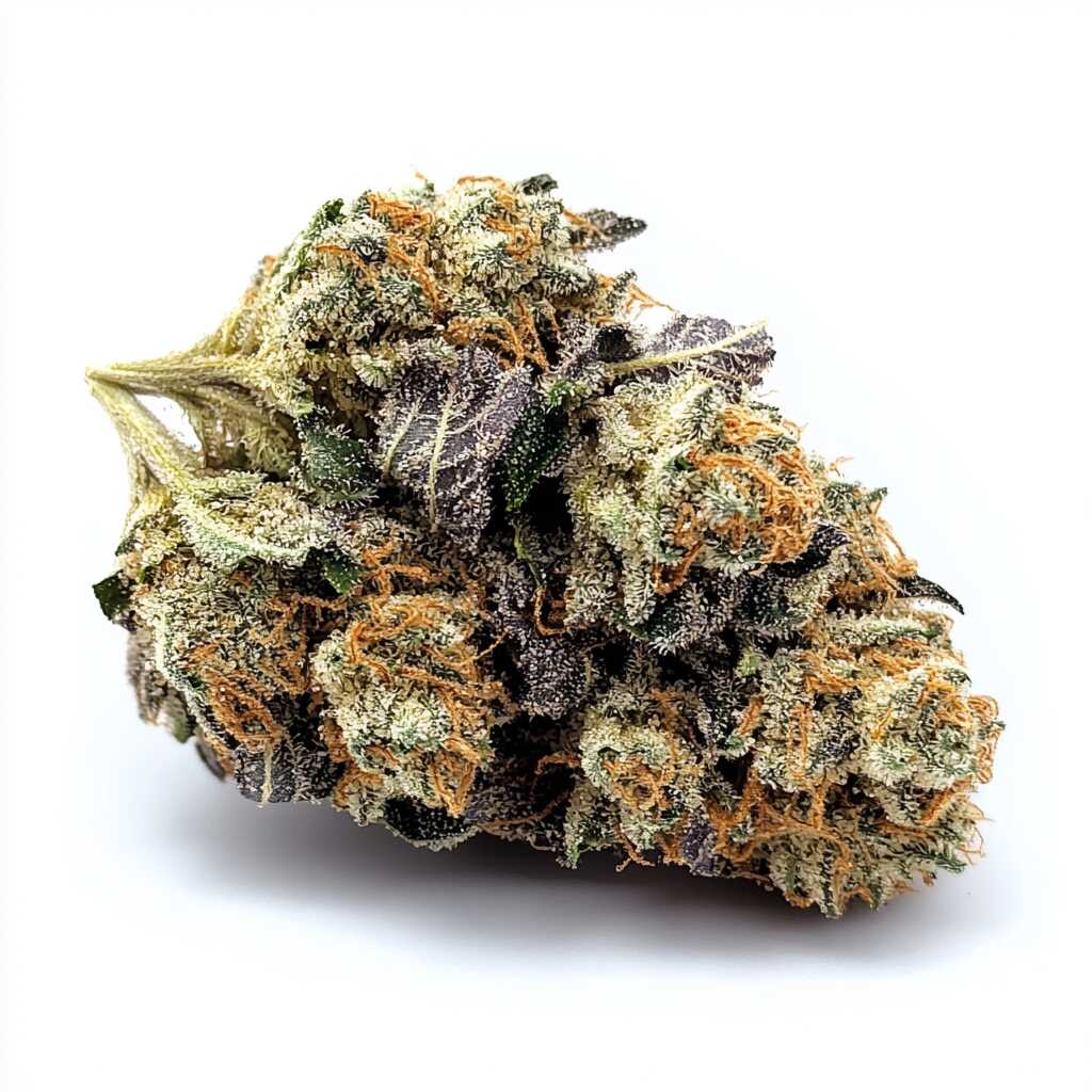 Symbolbild: Cookies 26/1 MD