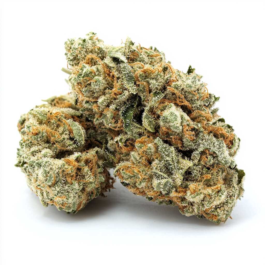 Symbolbild: Materia AND 16/1